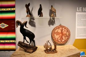 Musée d'Histoire Naturelle de Lille 2019 - 04