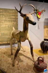 Musée d'Histoire Naturelle de Lille 2019 - 07