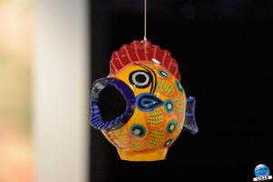 Musée d'Histoire Naturelle de Lille 2019 - 19