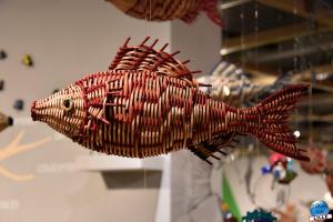 Musée d'Histoire Naturelle de Lille 2019 - 27