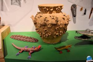 Musée d'Histoire Naturelle de Lille 2019 - 39