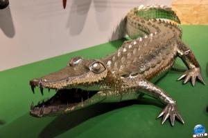 Musée d'Histoire Naturelle de Lille 2019 - 40