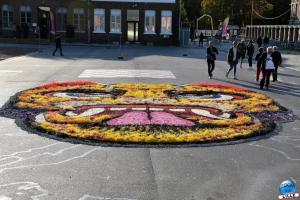 Gare Saint Sauveur 2019 - 135