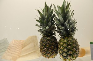 Expo Textifood 02 