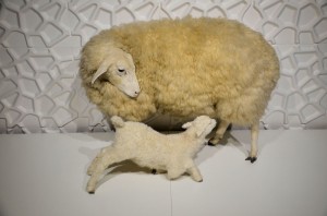 Expo Textifood 23        