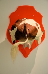 Expo Tu dois changer ta vie ! 02        