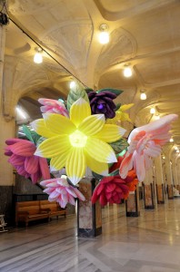 Flowers 03       