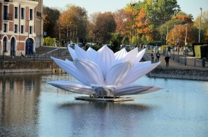 White Lotus 01