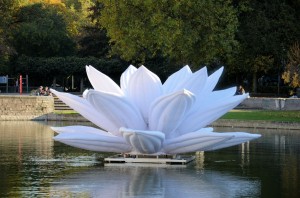 White Lotus 02