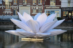 White Lotus 03