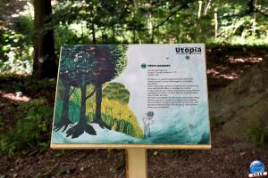 Cap Forêt - 01