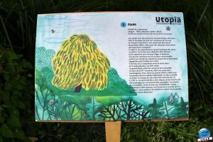 Lille 3000 / Utopia - Cap For&ecirc;t