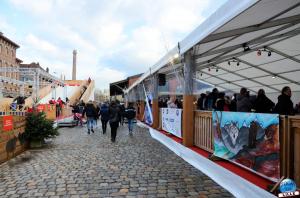 Lille Neige 2019 - 04