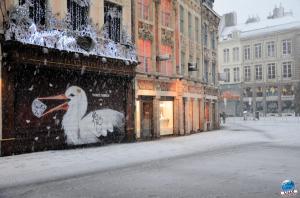 Neige Lille - Décembre 2017 - 17
