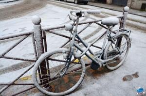 Neige Lille - Décembre 2017 - 23