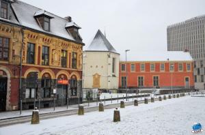 Neige Lille - Décembre 2017 - 24