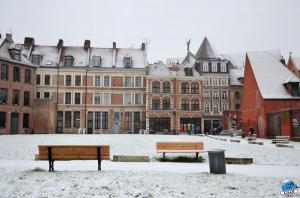 Neige Lille - Décembre 2017 - 29