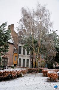 Neige Lille - Décembre 2017 - 37