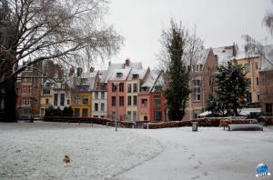 Neige Lille - Décembre 2017 - 38