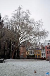 Neige Lille - Décembre 2017 - 39
