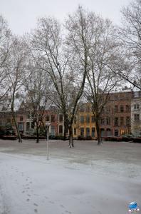 Neige Lille - Décembre 2017 - 40