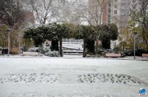 Neige Lille - Décembre 2017 - 41