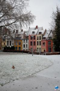 Neige Lille - Décembre 2017 - 44