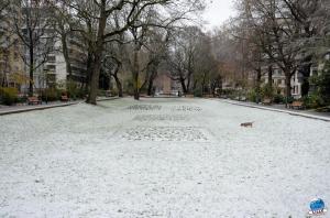 Neige Lille - Décembre 2017 - 45