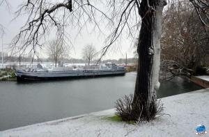 Neige Lille - Décembre 2017 - 52