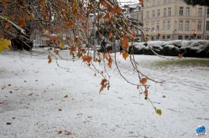 Neige Lille - Décembre 2017 - 53