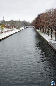 Neige Lille - Décembre 2017 - 57