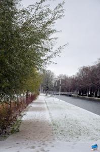 Neige Lille - Décembre 2017 - 63