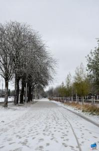 Neige Lille - Décembre 2017 - 64