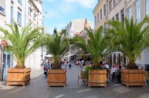 Lille reste en fête ! 09