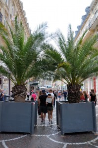 Lille reste en fête ! 12