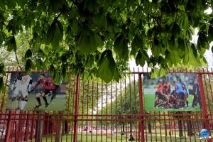 Tous ensemble avec le LOSC ! - 19