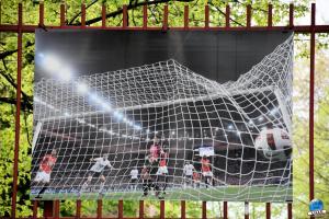 Tous ensemble avec le LOSC ! - 23