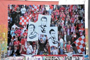 Tous ensemble avec le LOSC ! - 43