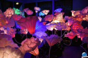 Maker Faire Lille 2022 - 53