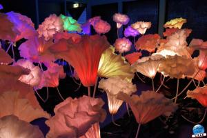 Maker Faire Lille 2022 - 54