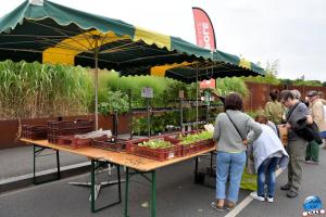 Marché MEL 2019 - 02