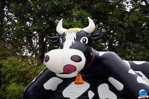 Marché MEL 2019 - 33
