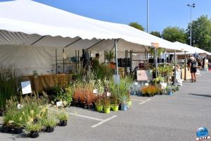 March&eacute; de la MEL 2021
