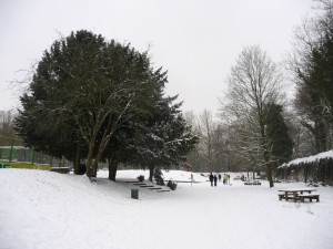 Neige à Lille 20