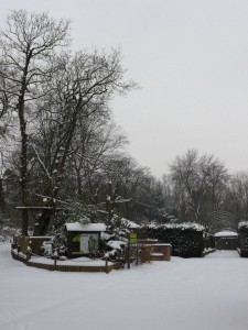 Neige à Lille 21