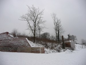 Neige à Lille 33