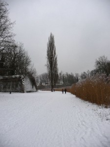 Neige à Lille 34