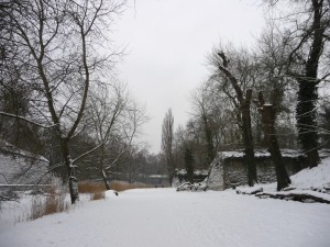 Neige à Lille 35