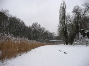 Neige à Lille 36