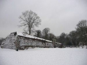 Neige à Lille 37
